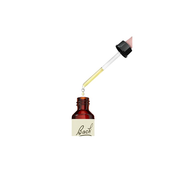 Flores de Bach Originales (04) Centaury 20 ML.
