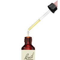Flores de Bach Originales (04) Centaury 20 ML.