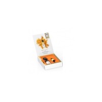 ISDIN ISDINCEUTICS FLAVO-C FORTE SERUM 1 FRASCO 5.3 ML