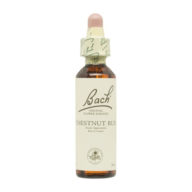 Flores de Bach Originales (07) Chestnut Bud 20 ml