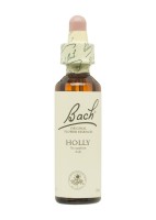 Flores de Bach Originales (15) Holly 20 ml