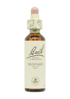 Flores de Bach Originales (21) Mustard 20 ml