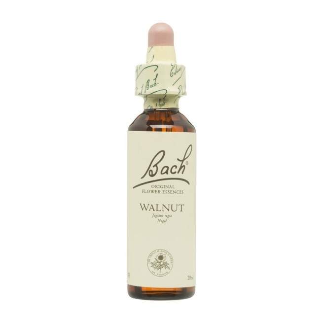 FLORES DE BACH ORIGINALES (33) WALNUT-NOGAL 20ML