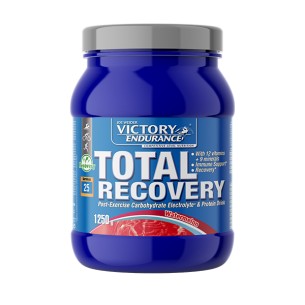 Victory Endurance Total Recovery 1250G Sandía